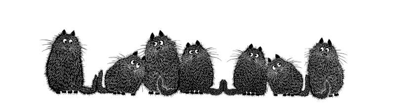 Cats Eyes